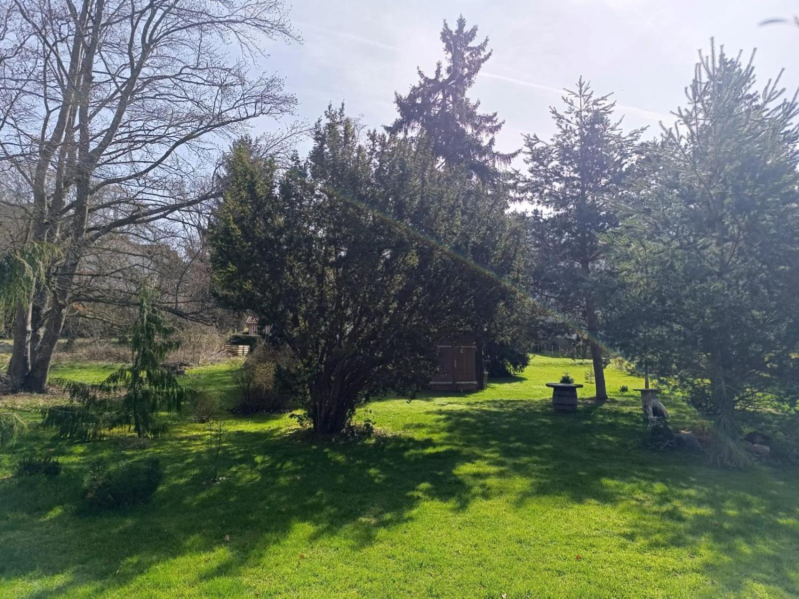 Ferienwohnung Waldblick Bad Dürrheim Екстериор снимка